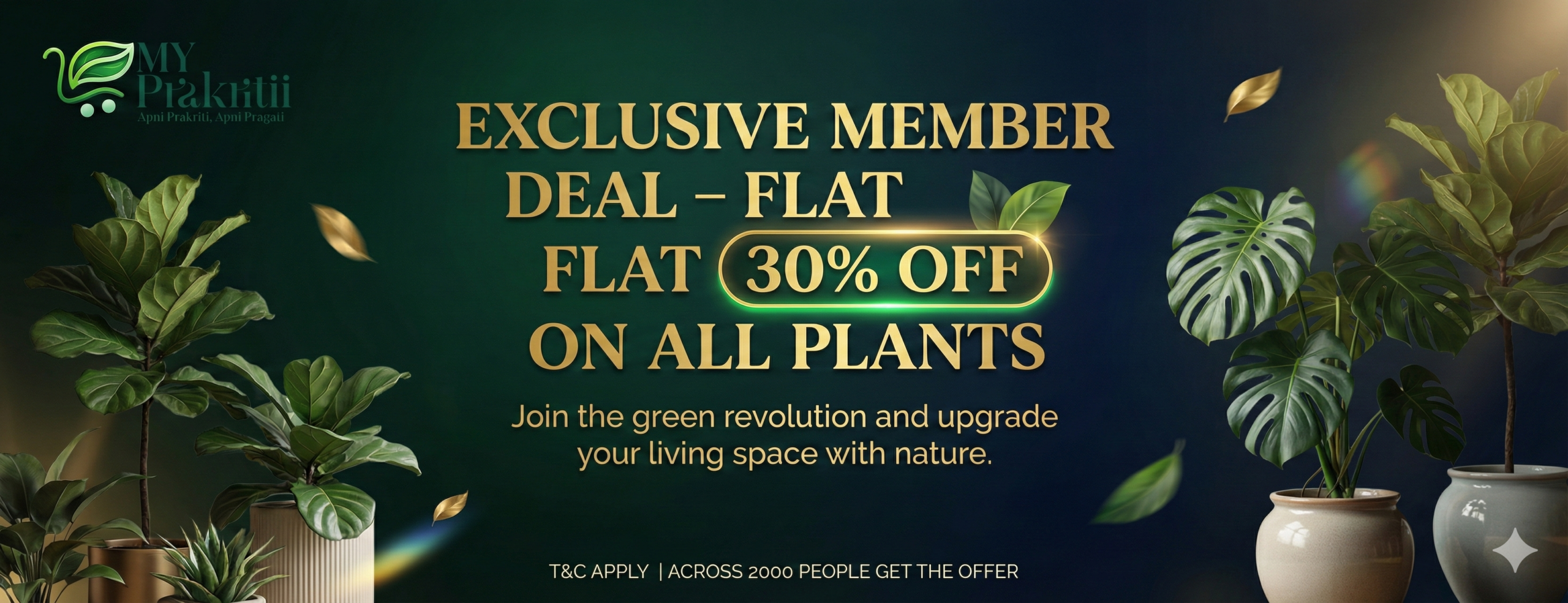 Gemini_Generated_Image_1w689d1w689d1w68